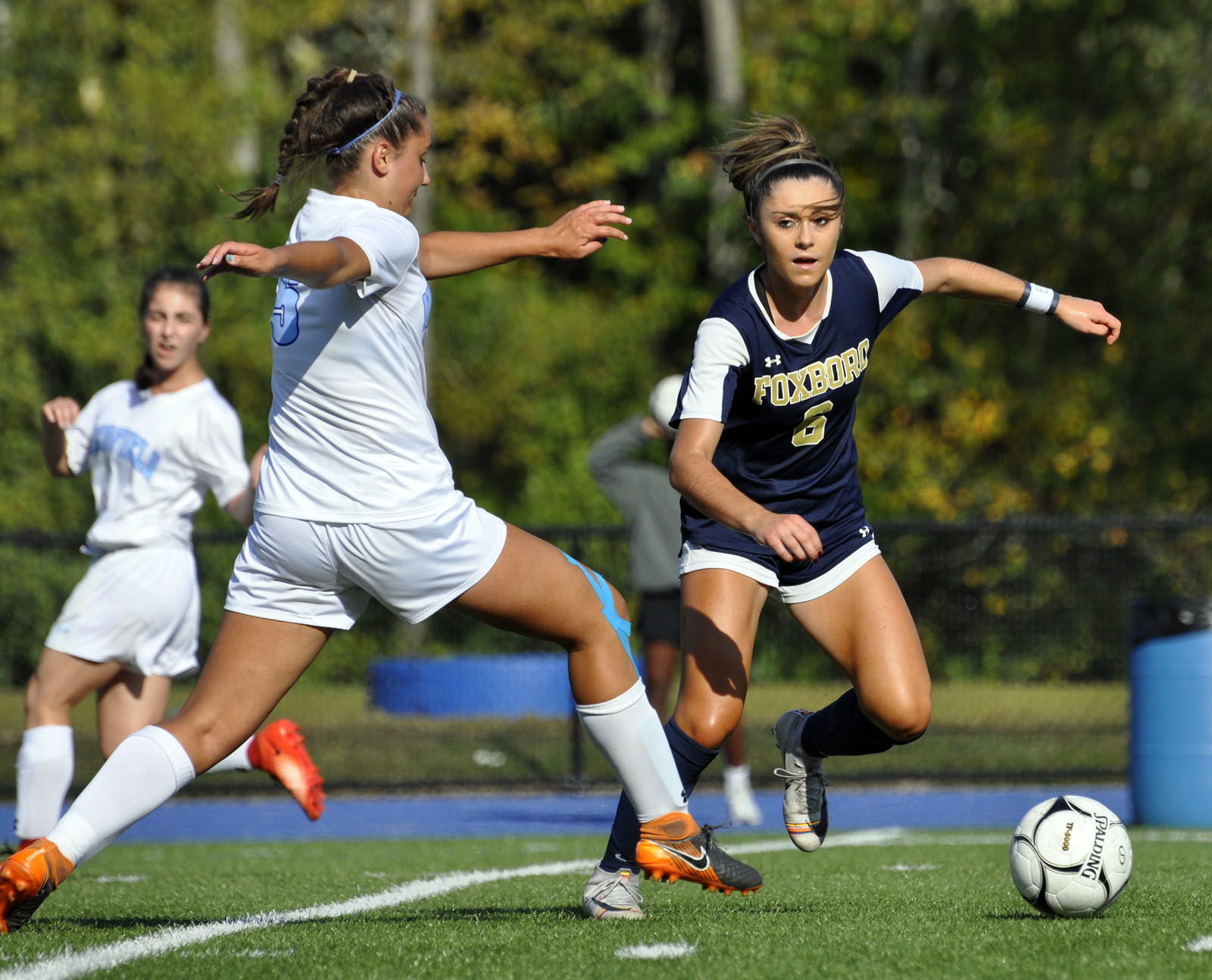 Fox GSoc Mollica